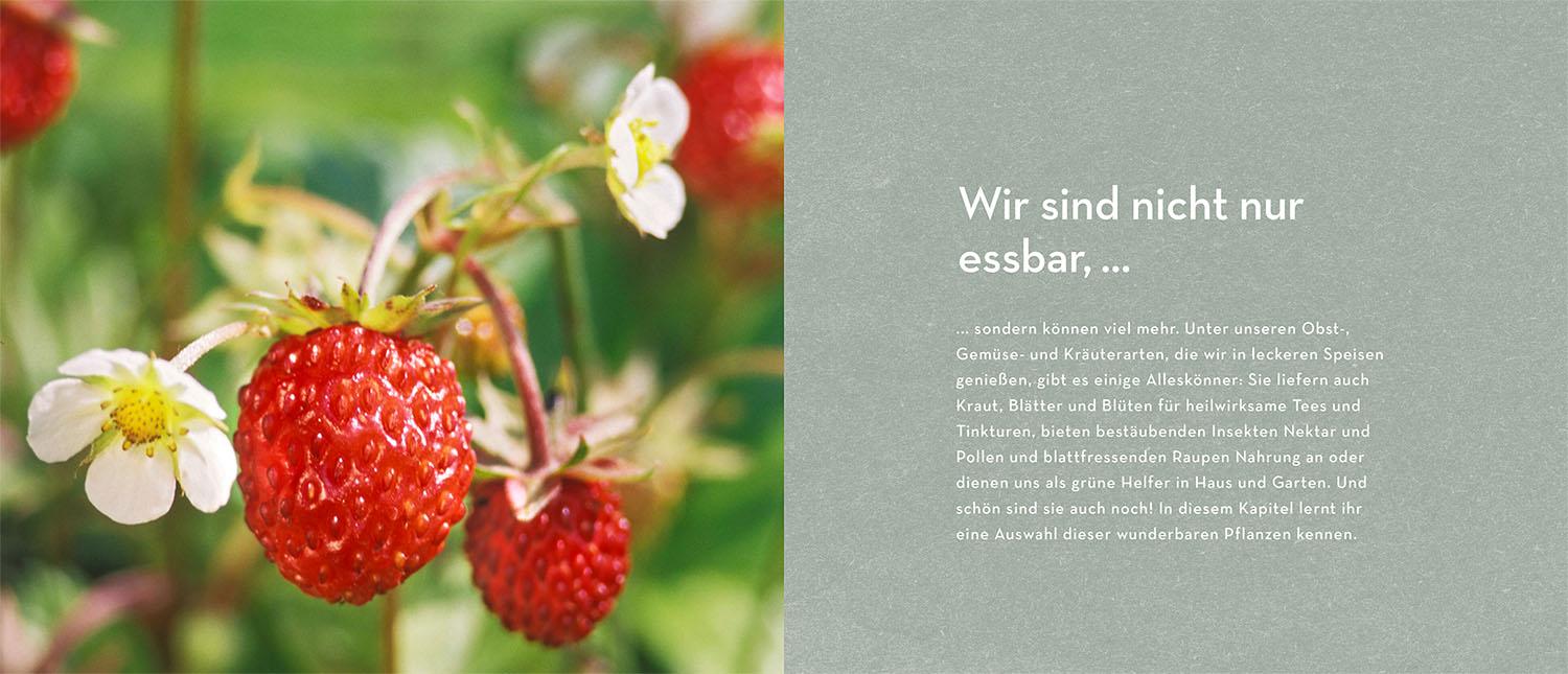 Beispielinhalt (Bild) Alleskönner im Garten