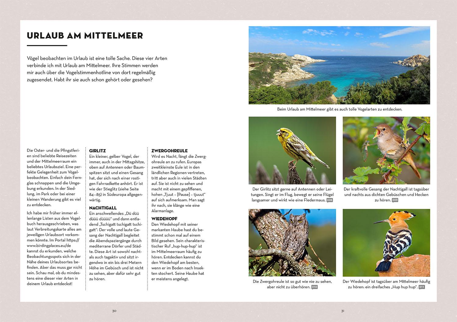 Beispielinhalt (Bild) Vögel bestimmen mit den Ohren