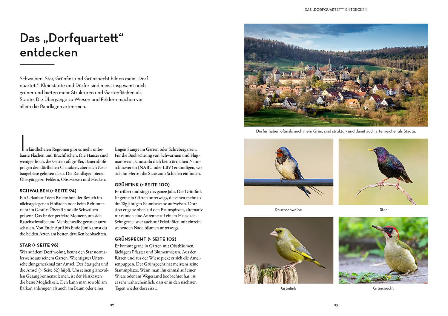 Beispielinhalt (Bild) Vögel bestimmen mit den Ohren