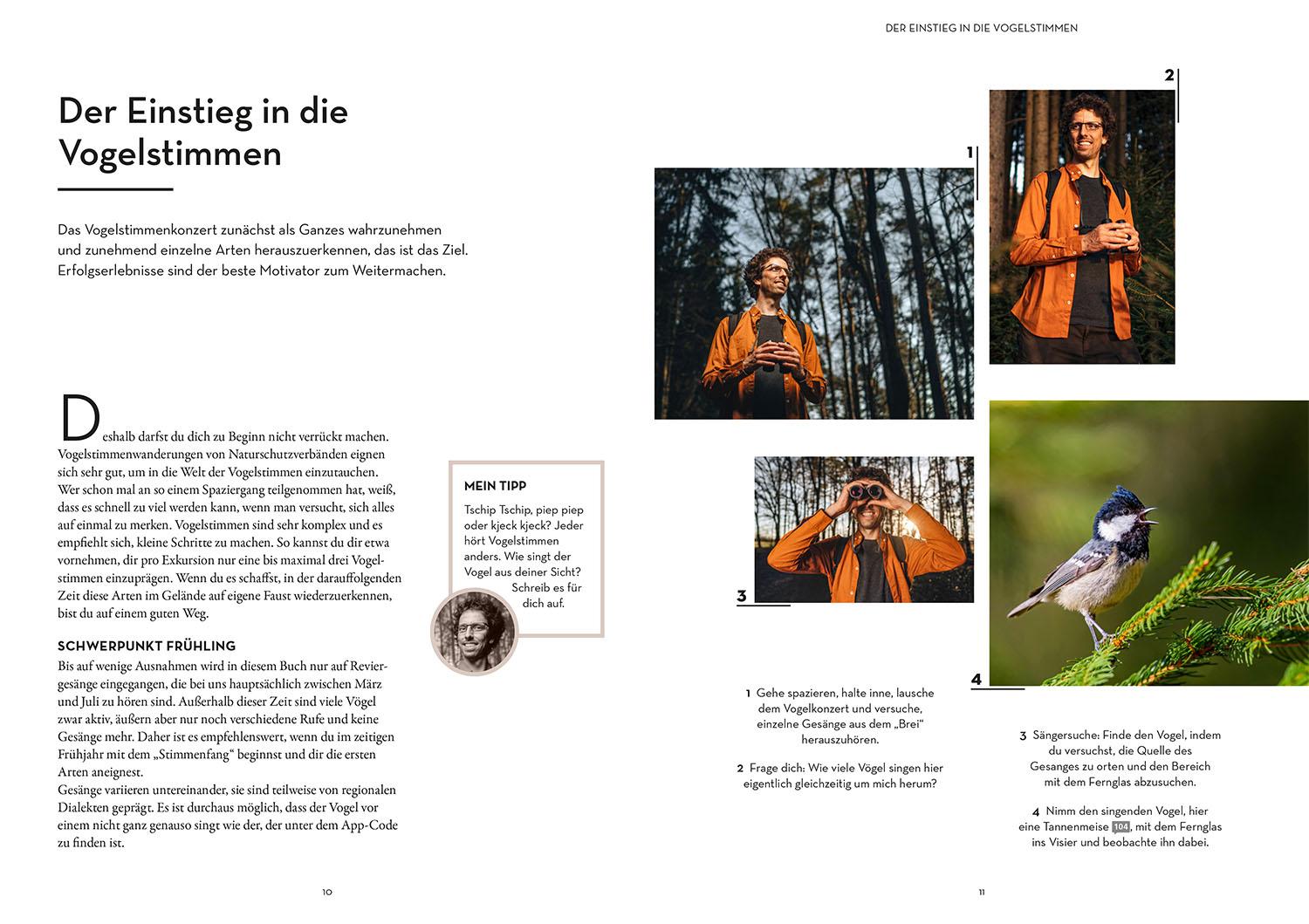 Beispielinhalt (Bild) Vögel bestimmen mit den Ohren