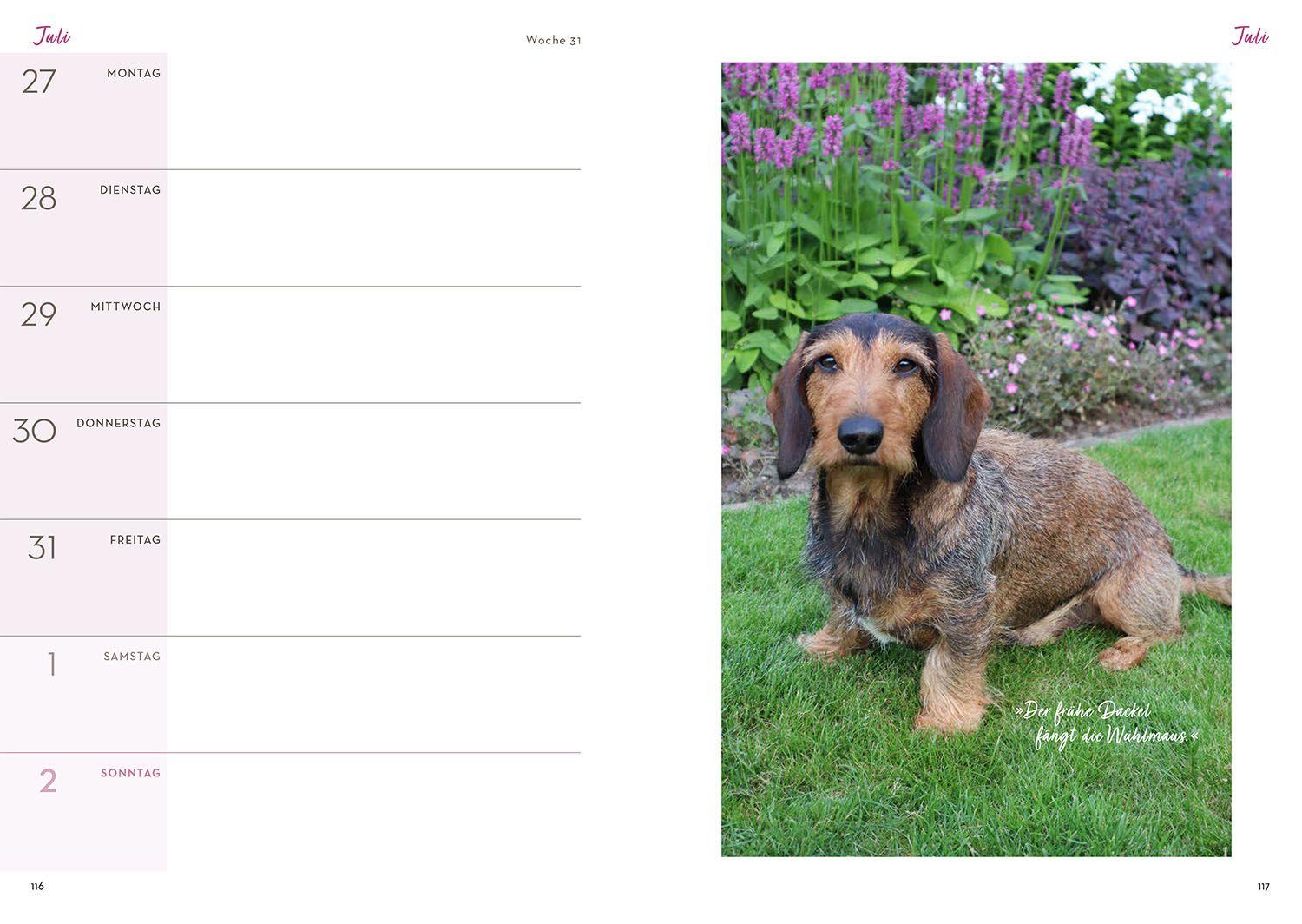 Beispielinhalt (Bild) Mit Herz & Gabel durch Katrins Gartenjahr 2026