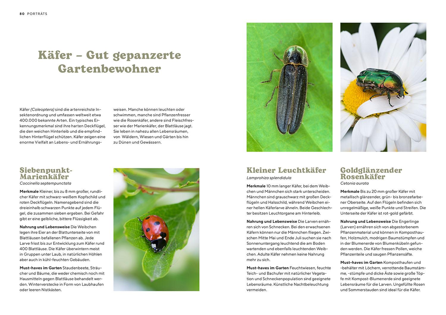 Beispielinhalt (Bild) Mein Insektenparadies