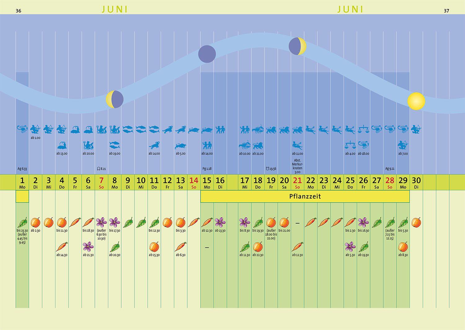 Beispielinhalt (Bild) Kosmos Aussaattage 2026