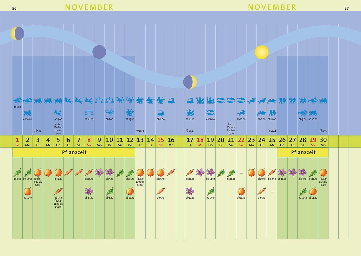 Beispielinhalt (Bild) Kosmos Aussaattage 2026