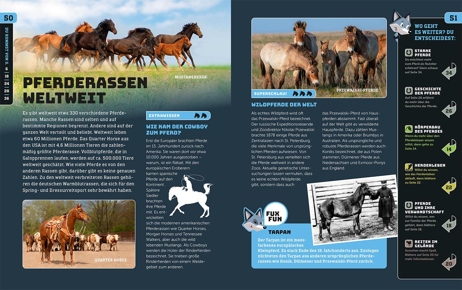 Beispielinhalt (Bild) Kosmos SchlauFUX - Pferde und Ponys