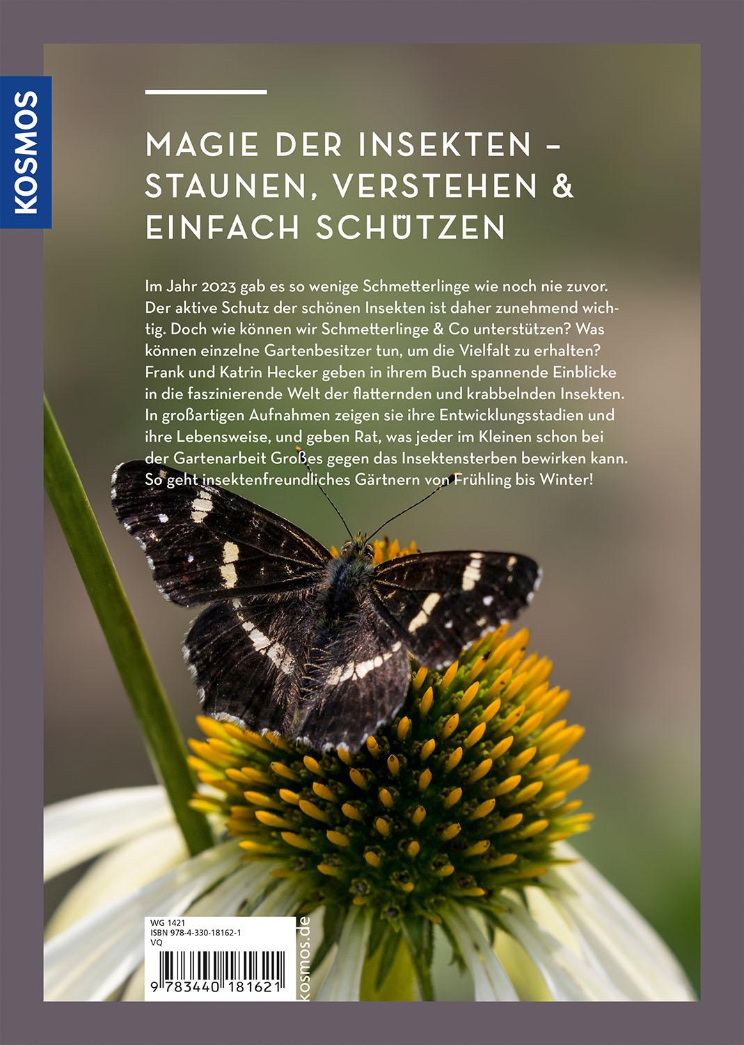 Beispielinhalt (Bild) Wer Schmetterlinge liebt, muss Raupen füttern