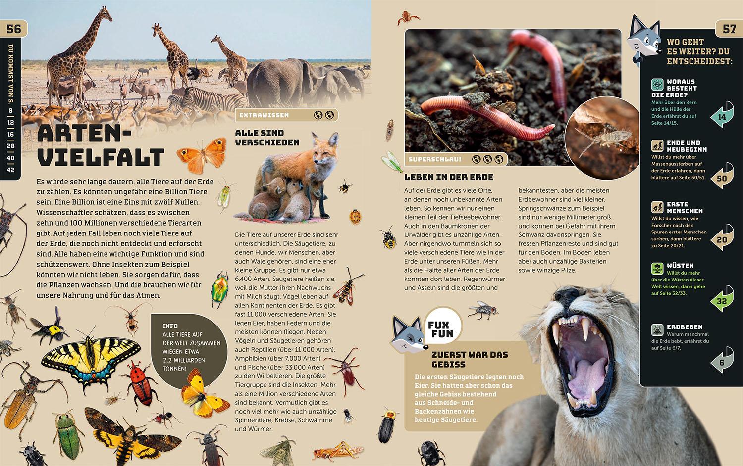 Beispielinhalt (Bild) Kosmos SchlauFUX - Erde