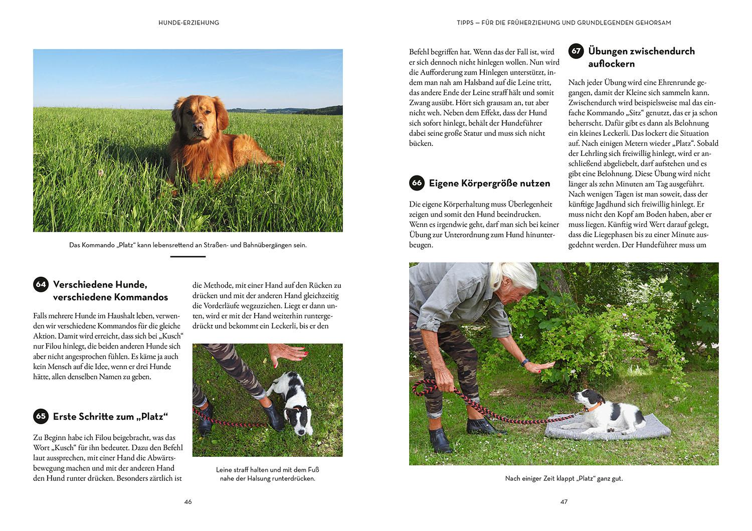 Beispielinhalt (Bild) Tipps & Tricks für Hundeführer