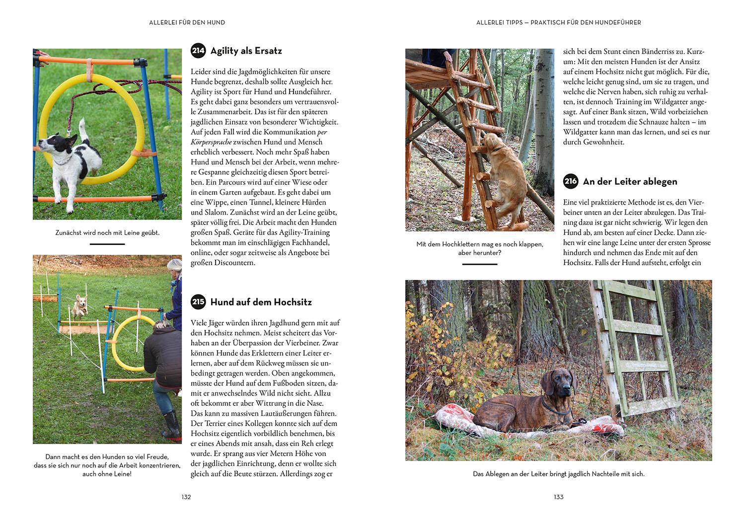 Beispielinhalt (Bild) Tipps & Tricks für Hundeführer