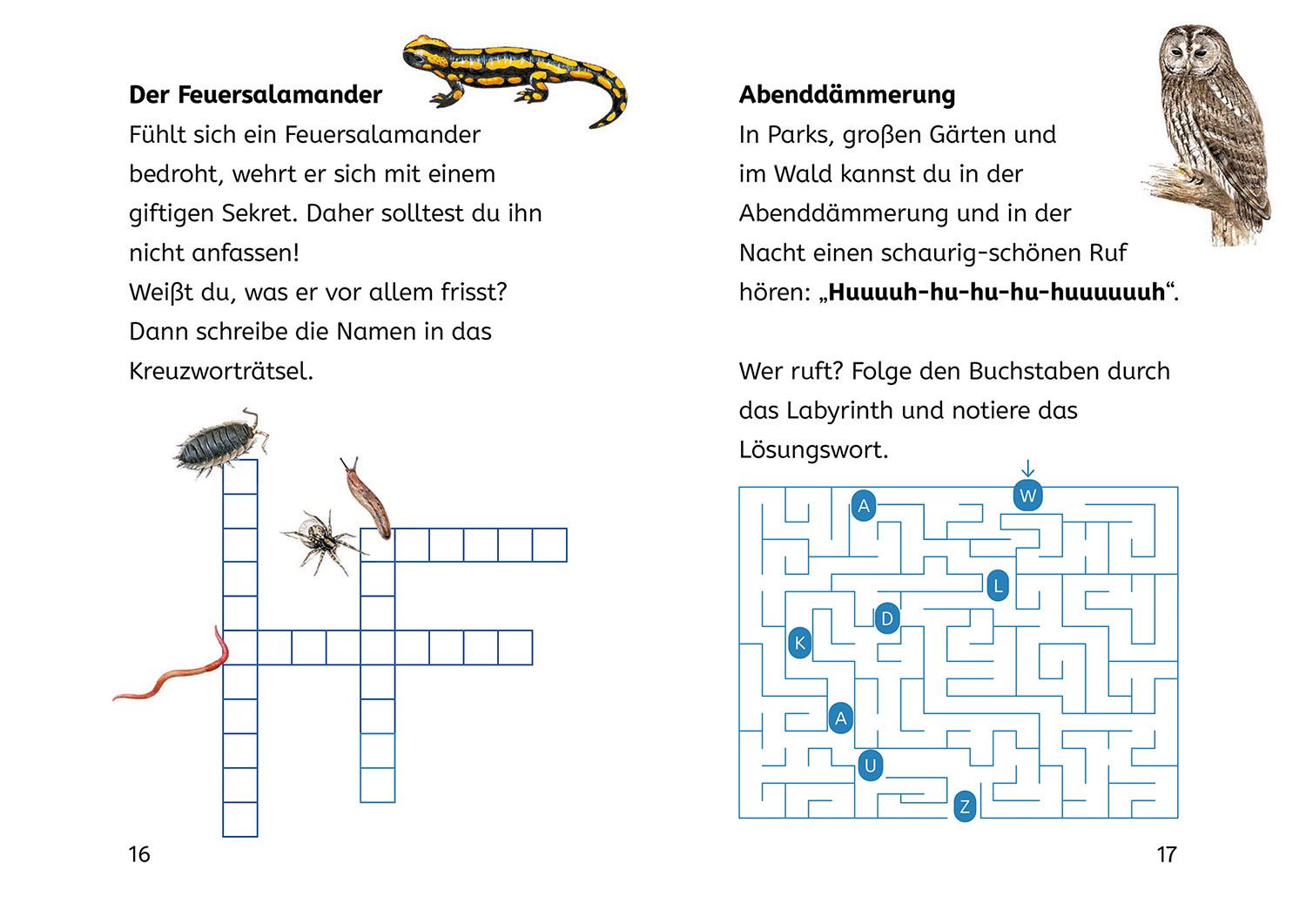 Beispielinhalt (Bild) Lesen lernen mit Naturrätseln, Bücherhelden 2. Klasse, Tiere und Pflanzen im Wald