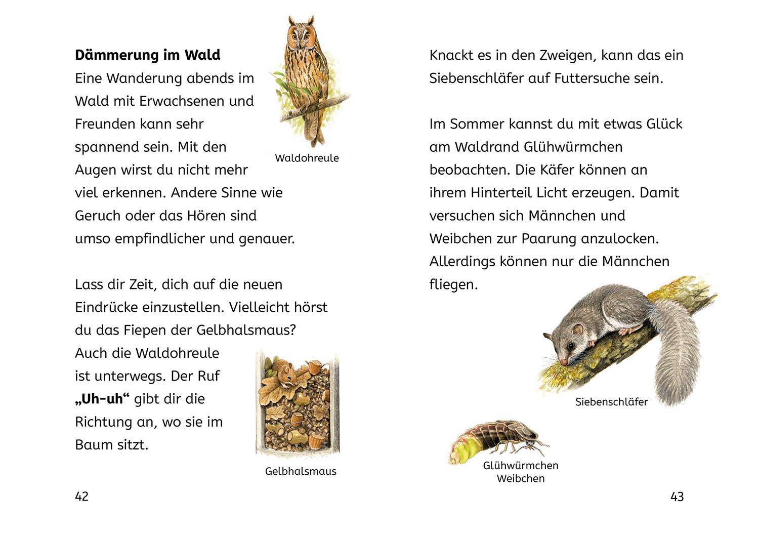 Beispielinhalt (Bild) Lesen lernen mit Naturrätseln, Bücherhelden 2. Klasse, Tiere und Pflanzen im Wald