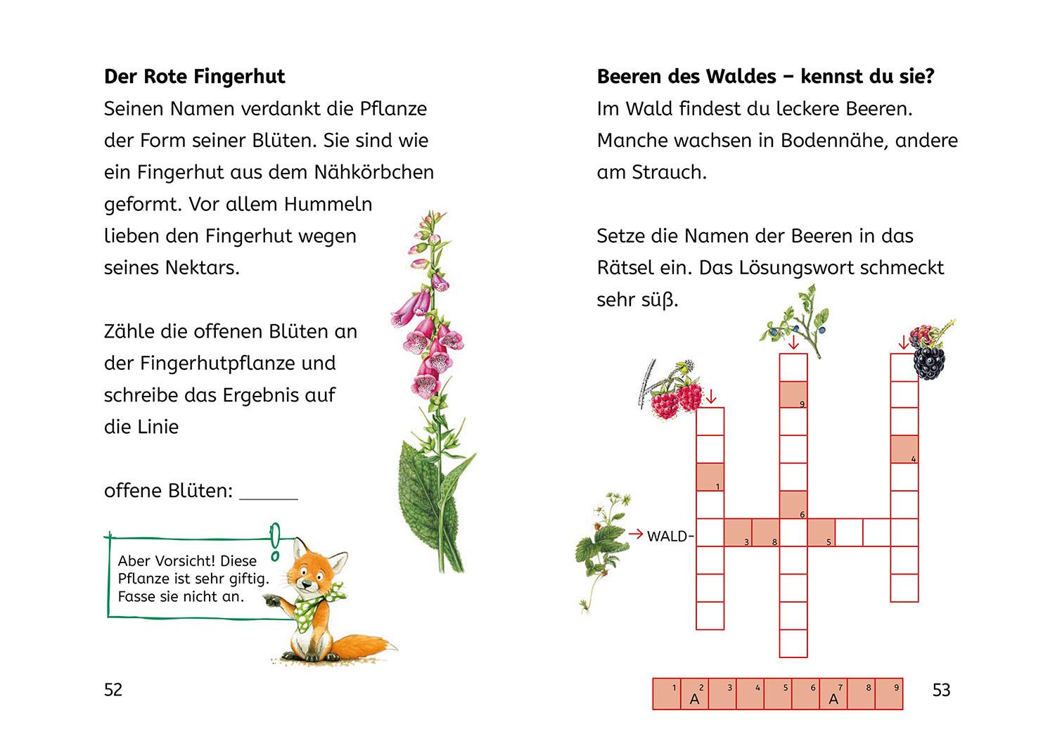 Beispielinhalt (Bild) Lesen lernen mit Naturrätseln, Bücherhelden 2. Klasse, Tiere und Pflanzen im Wald