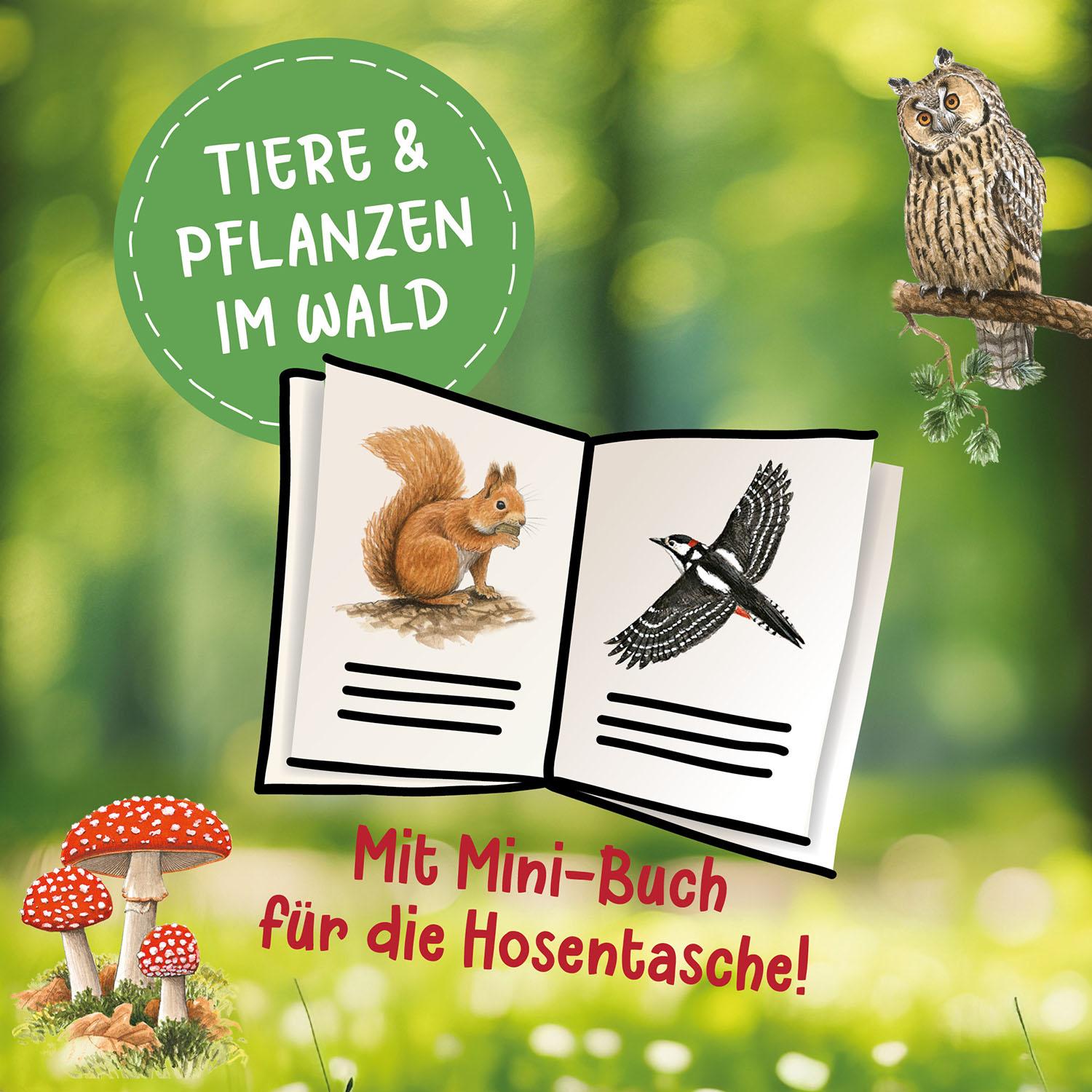 Beispielinhalt (Bild) Lesen lernen mit Naturrätseln, Bücherhelden 2. Klasse, Tiere und Pflanzen im Wald