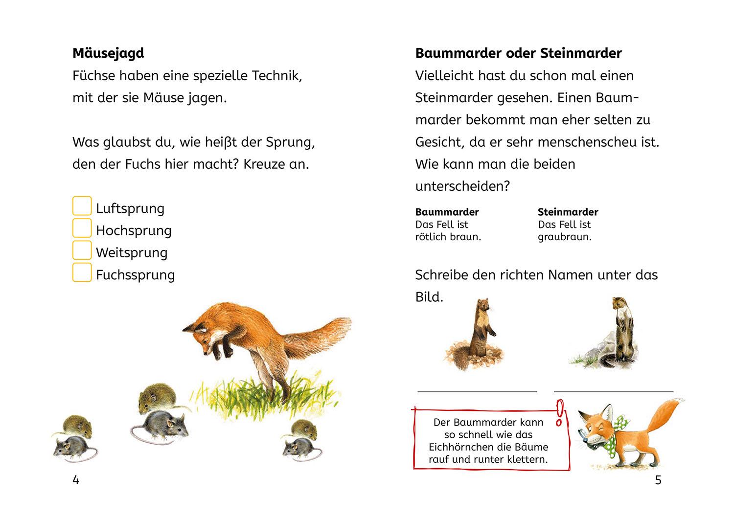 Beispielinhalt (Bild) Lesen lernen mit Naturrätseln, Bücherhelden 2. Klasse, Tiere und Pflanzen im Wald