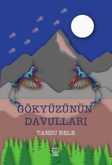 Vorderes Coverbild Gökyüzünün Davullari
