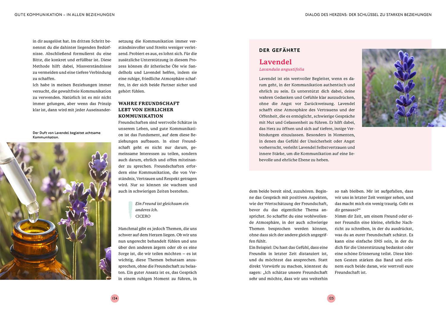 Beispielinhalt (Bild) Aromatherapie für die Liebe