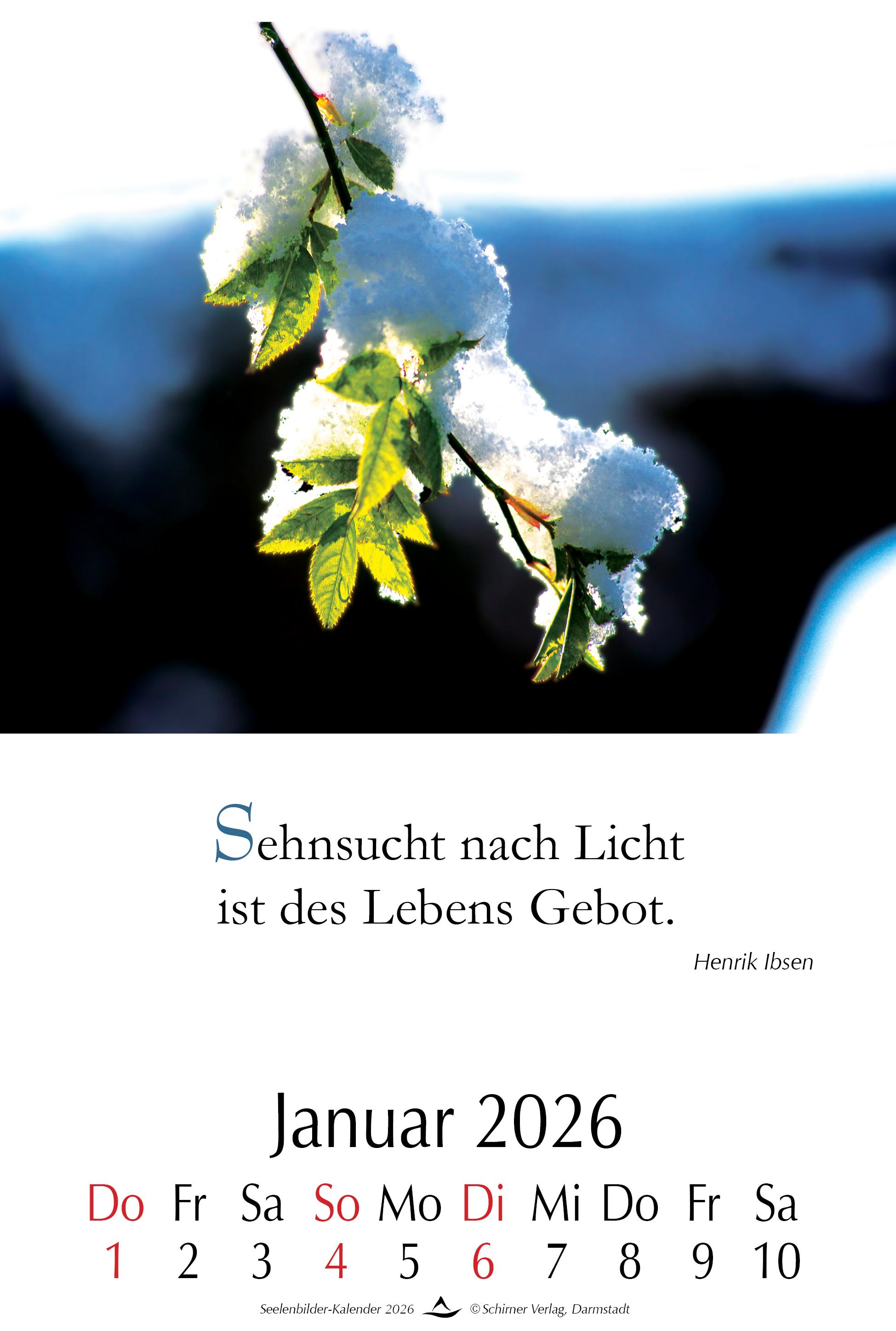 Beispielinhalt (Bild) Seelenbilder-Kalender 2026