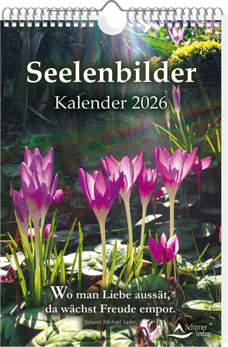 Vorderes Coverbild Seelenbilder-Kalender 2026