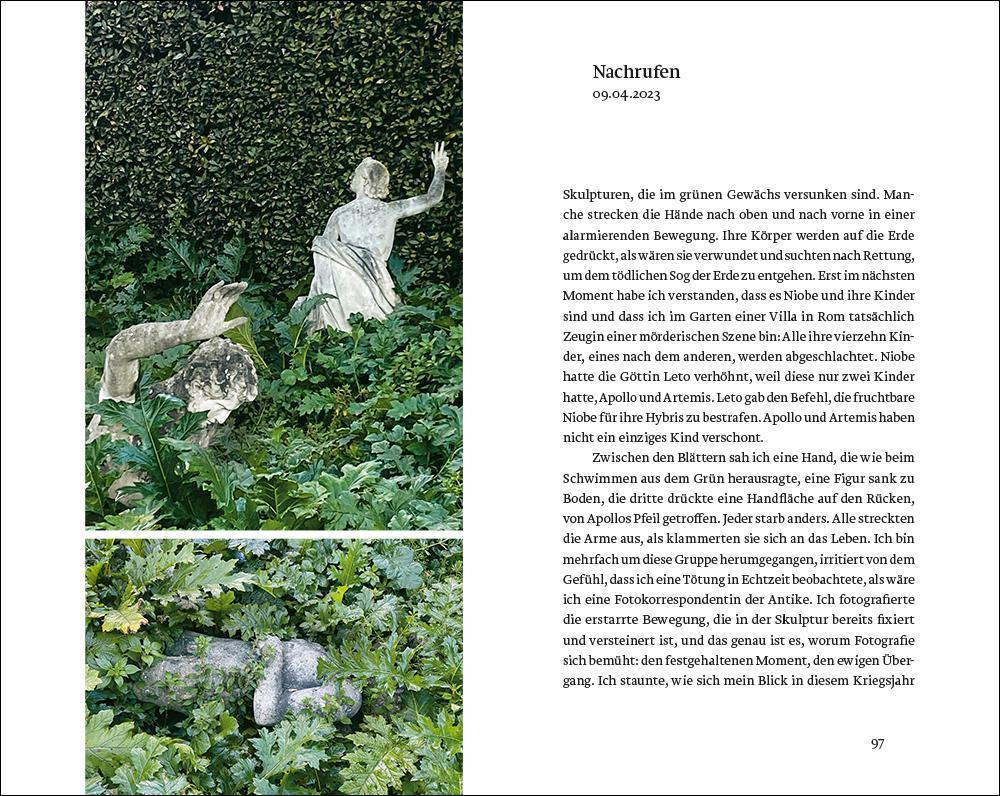 Beispielinhalt (Bild) Als wäre es vorbei