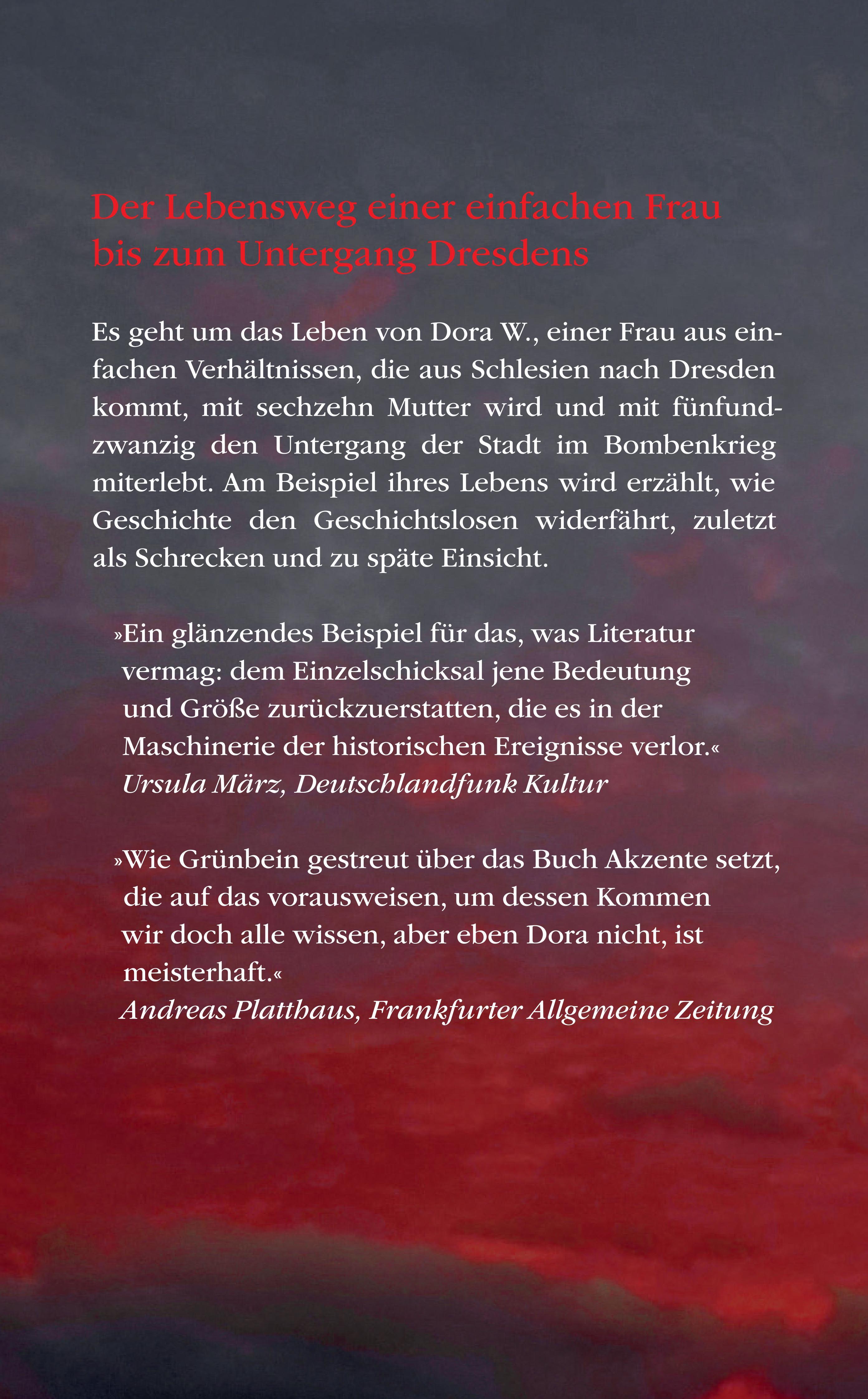 Rückseitencover Der Komet