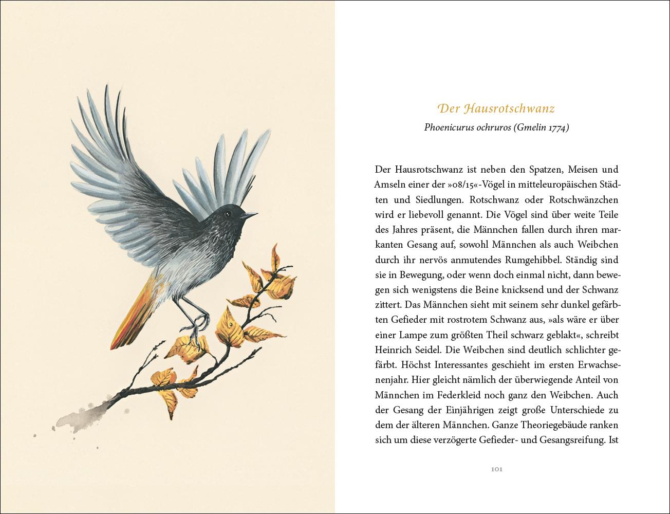 Beispielinhalt (Bild) Vom Glück des Vogelgesangs