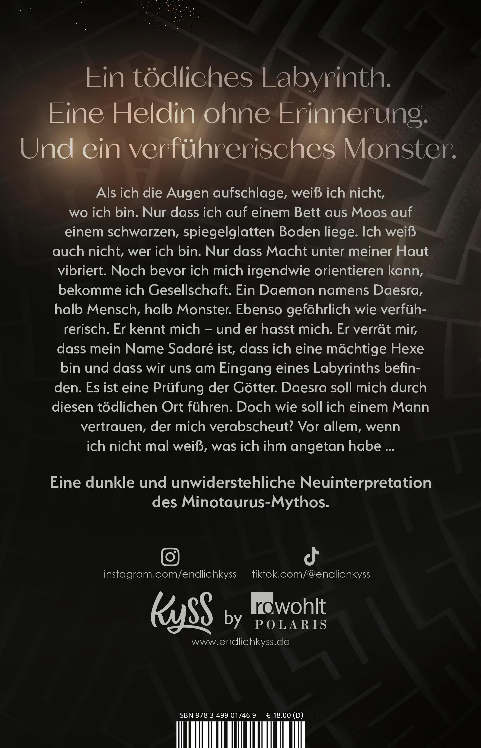Rückseitencover Dark Labyrinth - Gefährliches Verlangen