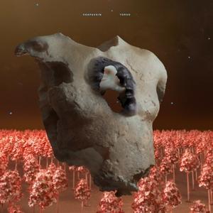 Vorderes Coverbild Torso