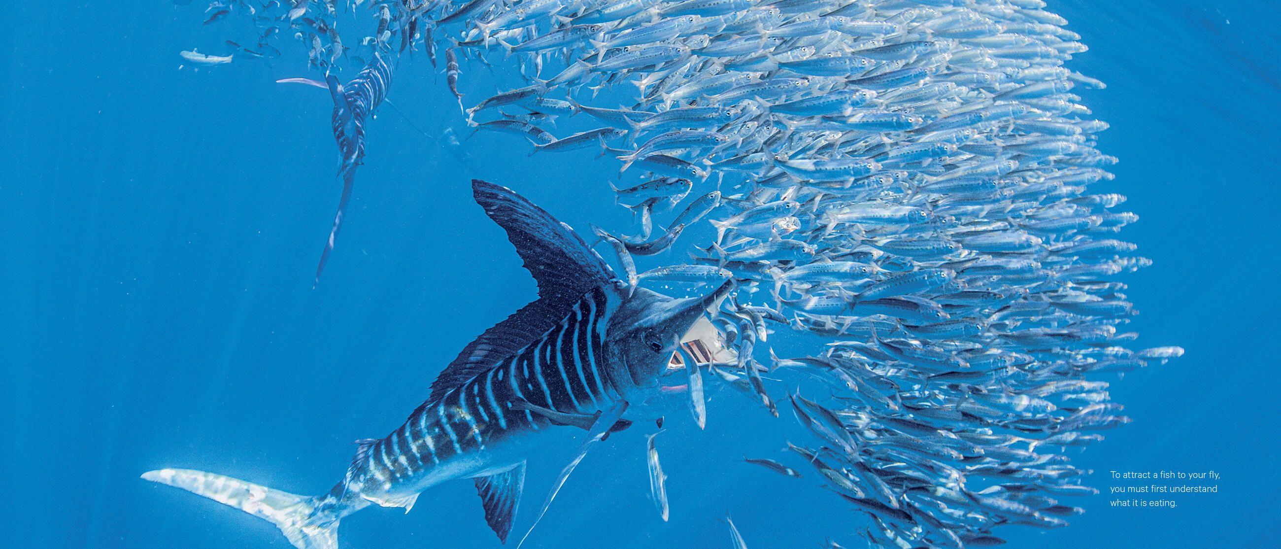 Beispielinhalt (Bild) The Zen of Flyfishing