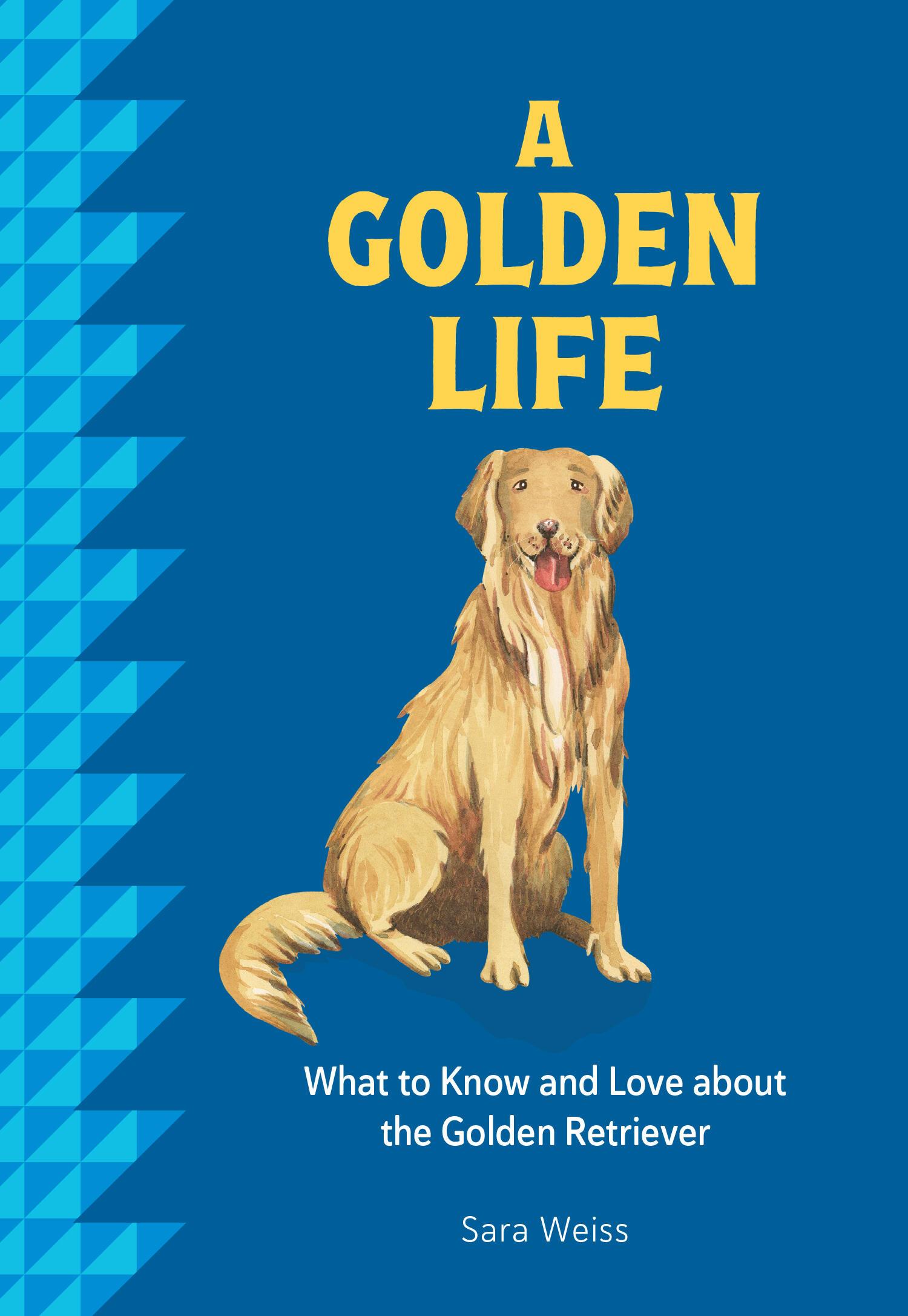 Vorderes Coverbild A Golden Life