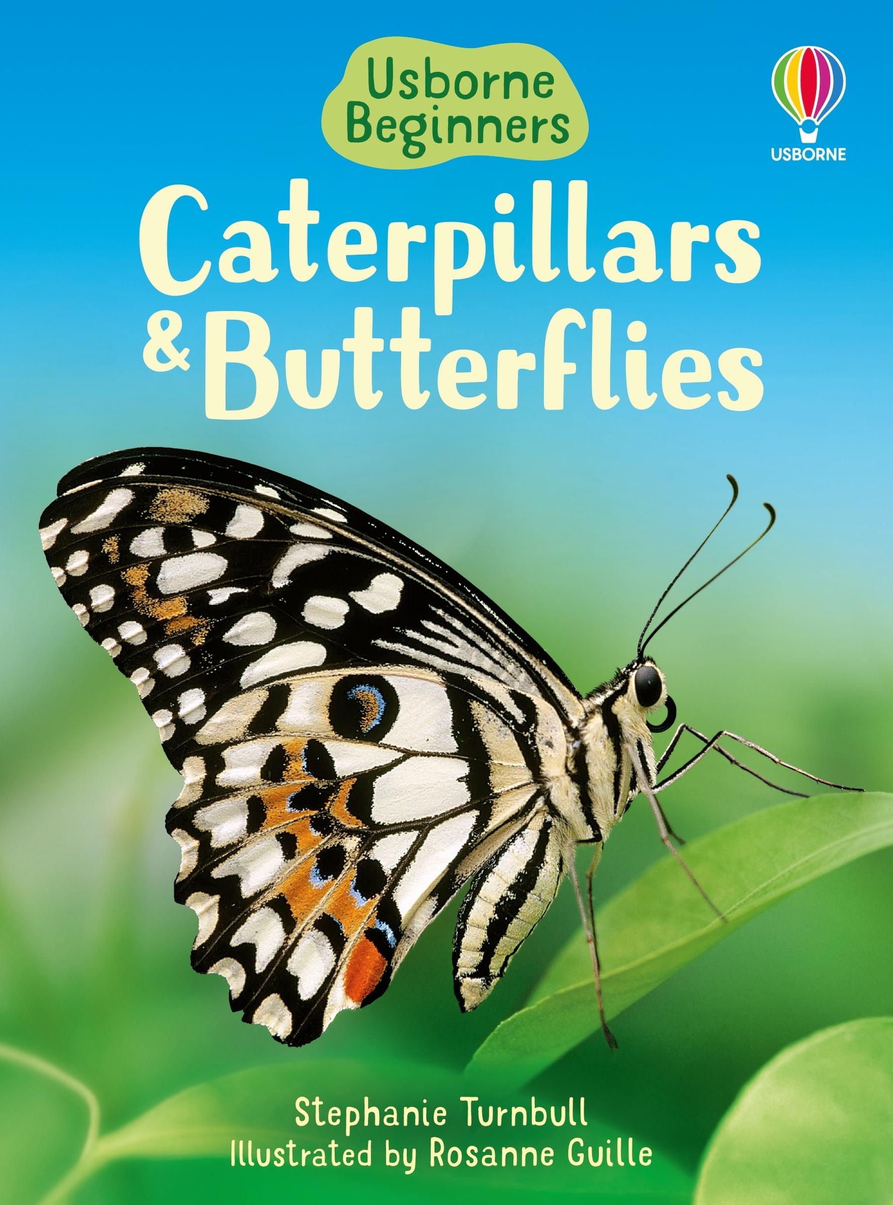 Vorderes Coverbild Caterpillars and Butterflies