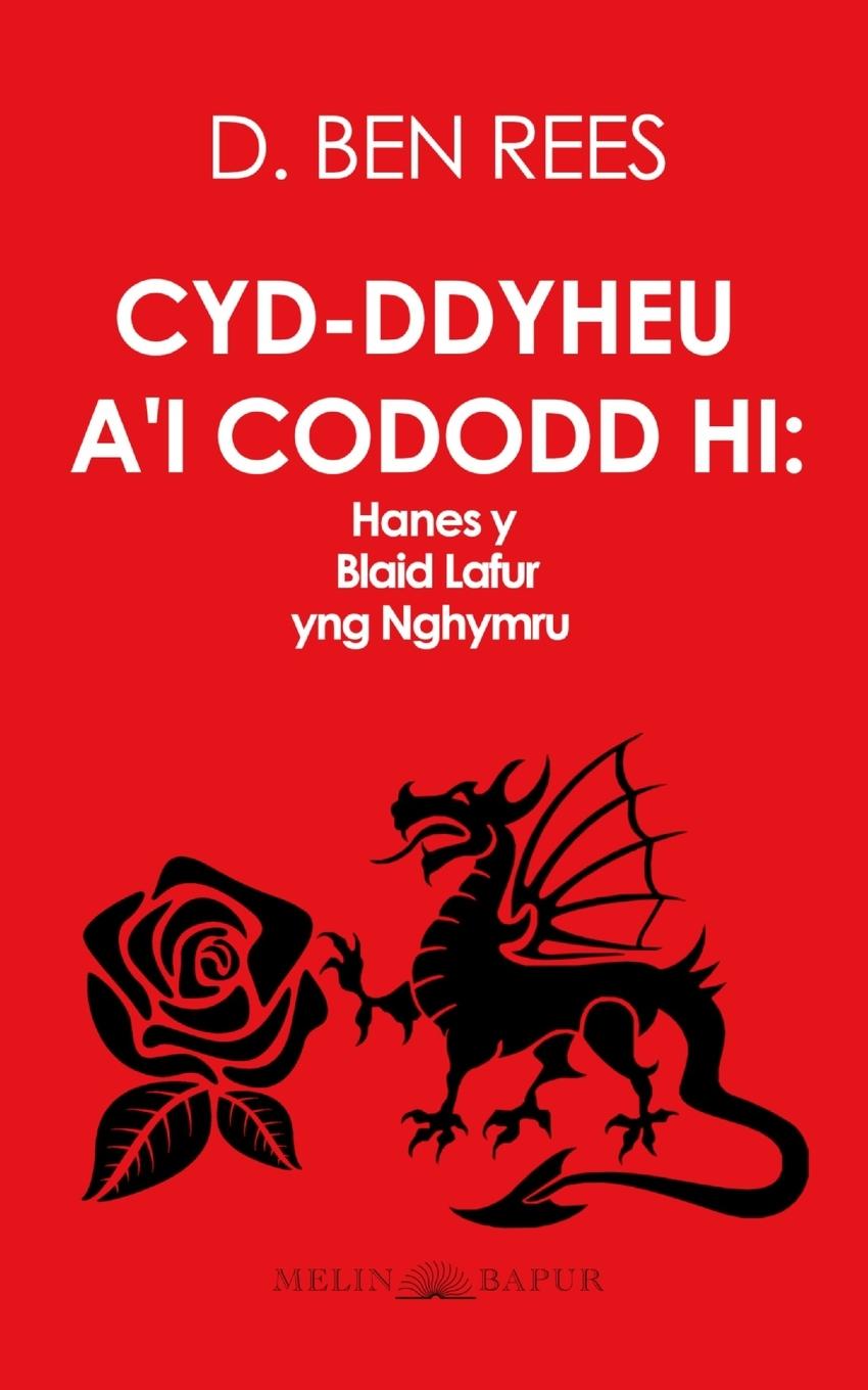 Vorderes Coverbild Cyd-ddyheu a'i Cododd Hi