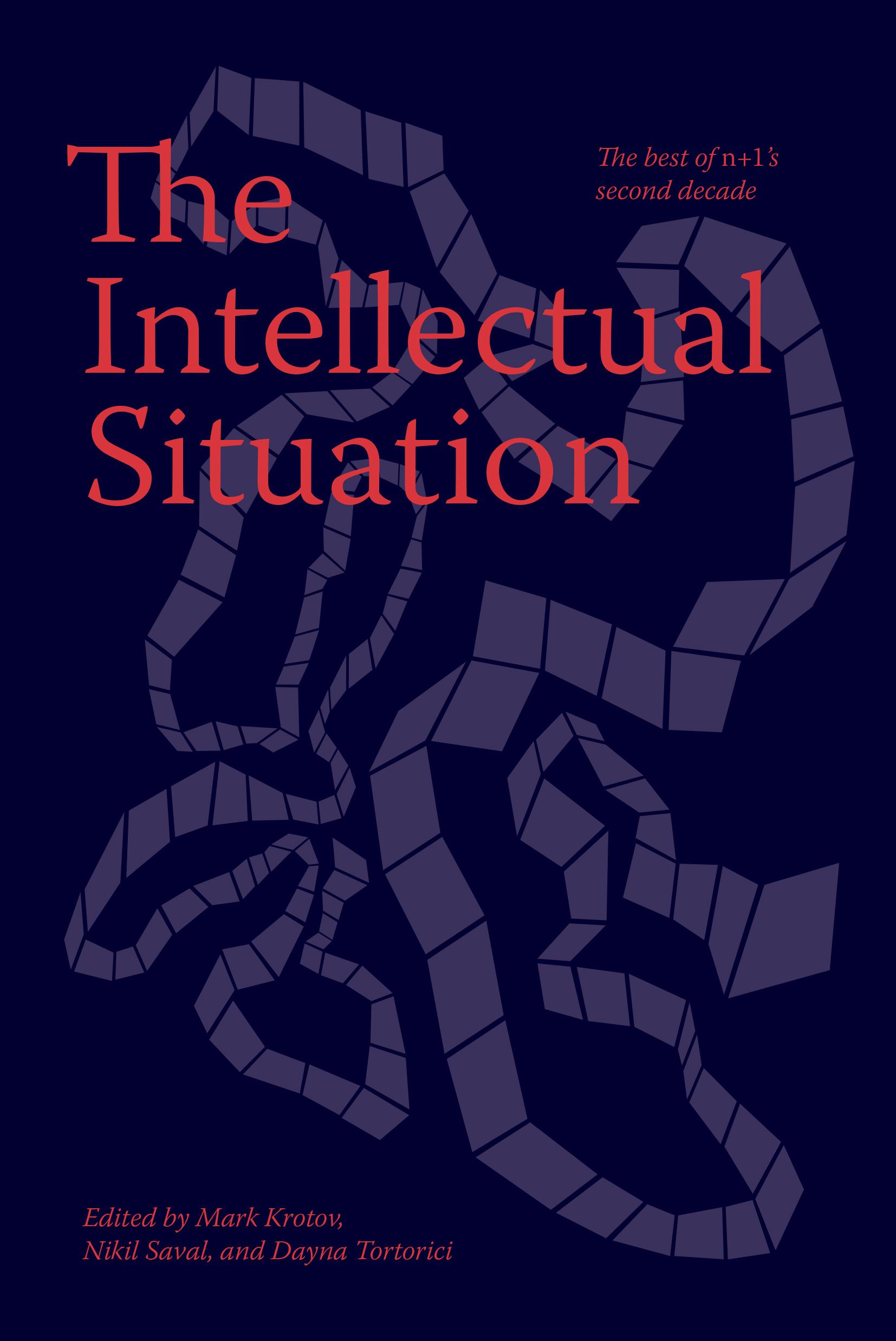 Vorderes Coverbild The Intellectual Situation