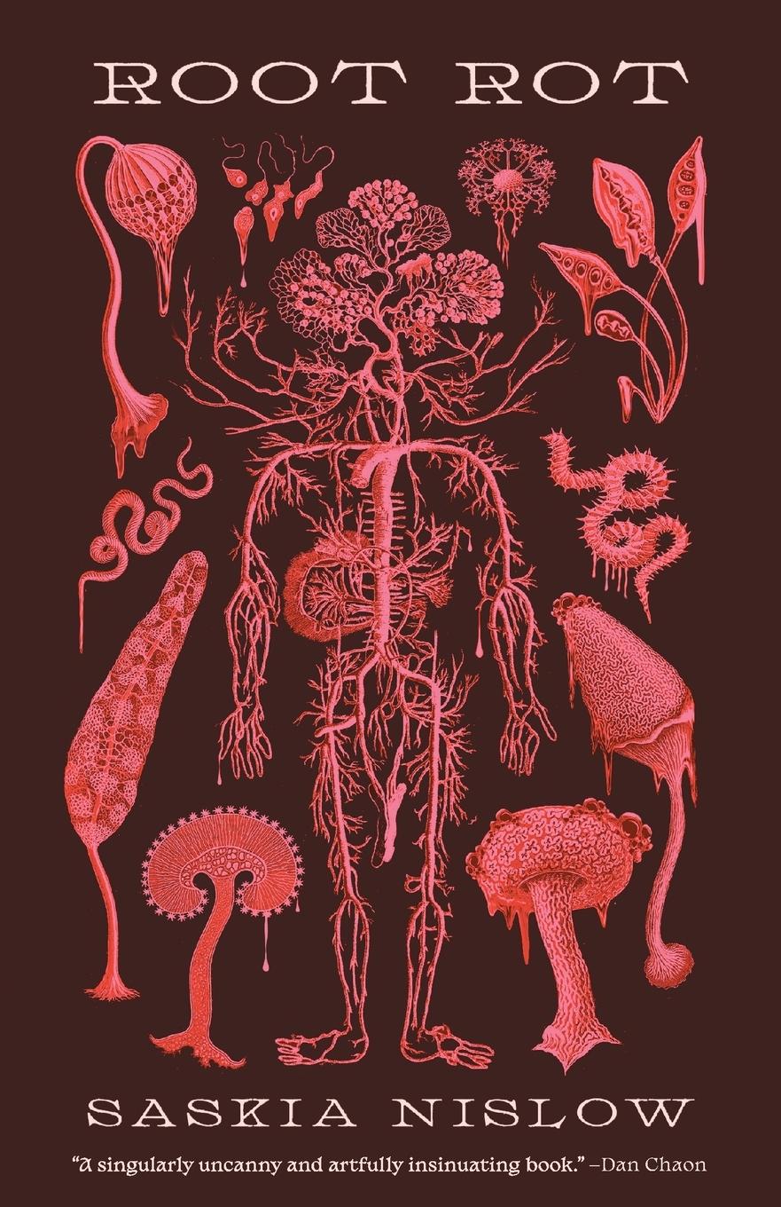 Vorderes Coverbild Root Rot