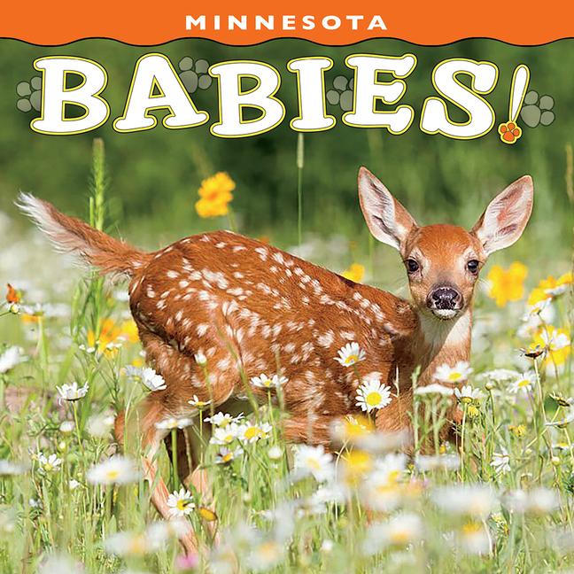 Vorderes Coverbild Minnesota Babies!