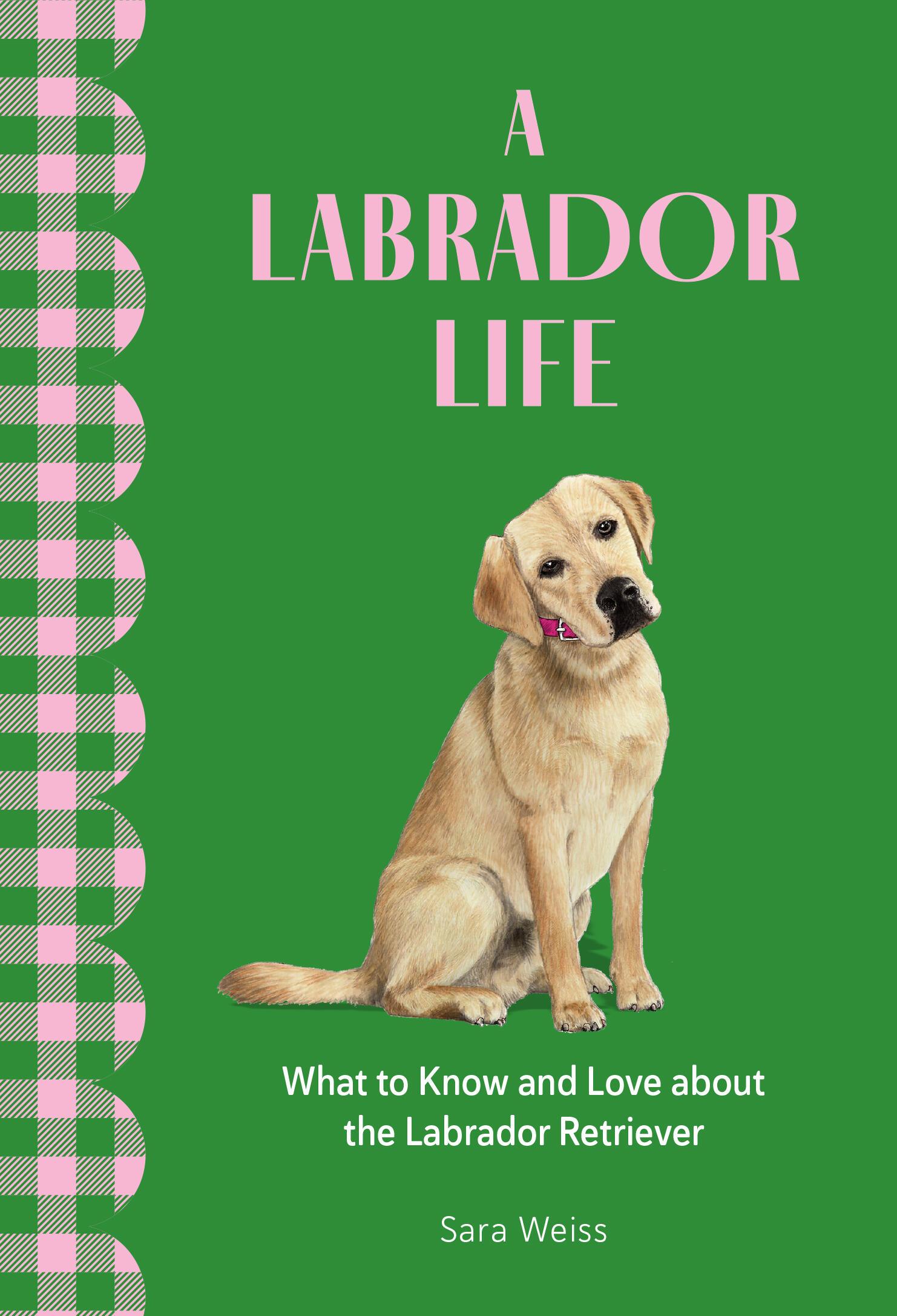 Vorderes Coverbild A Labrador Life