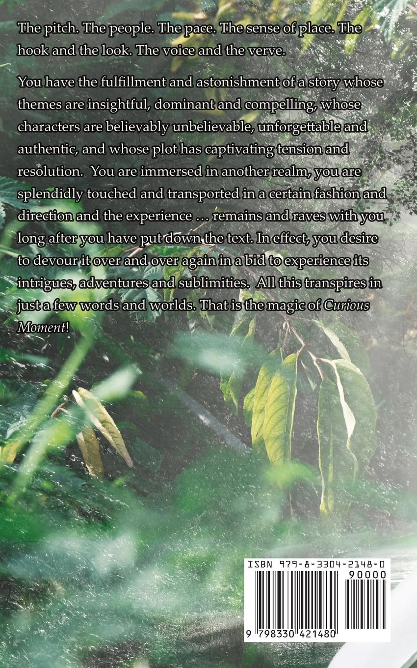 Rückseitencover A Curious Moment
