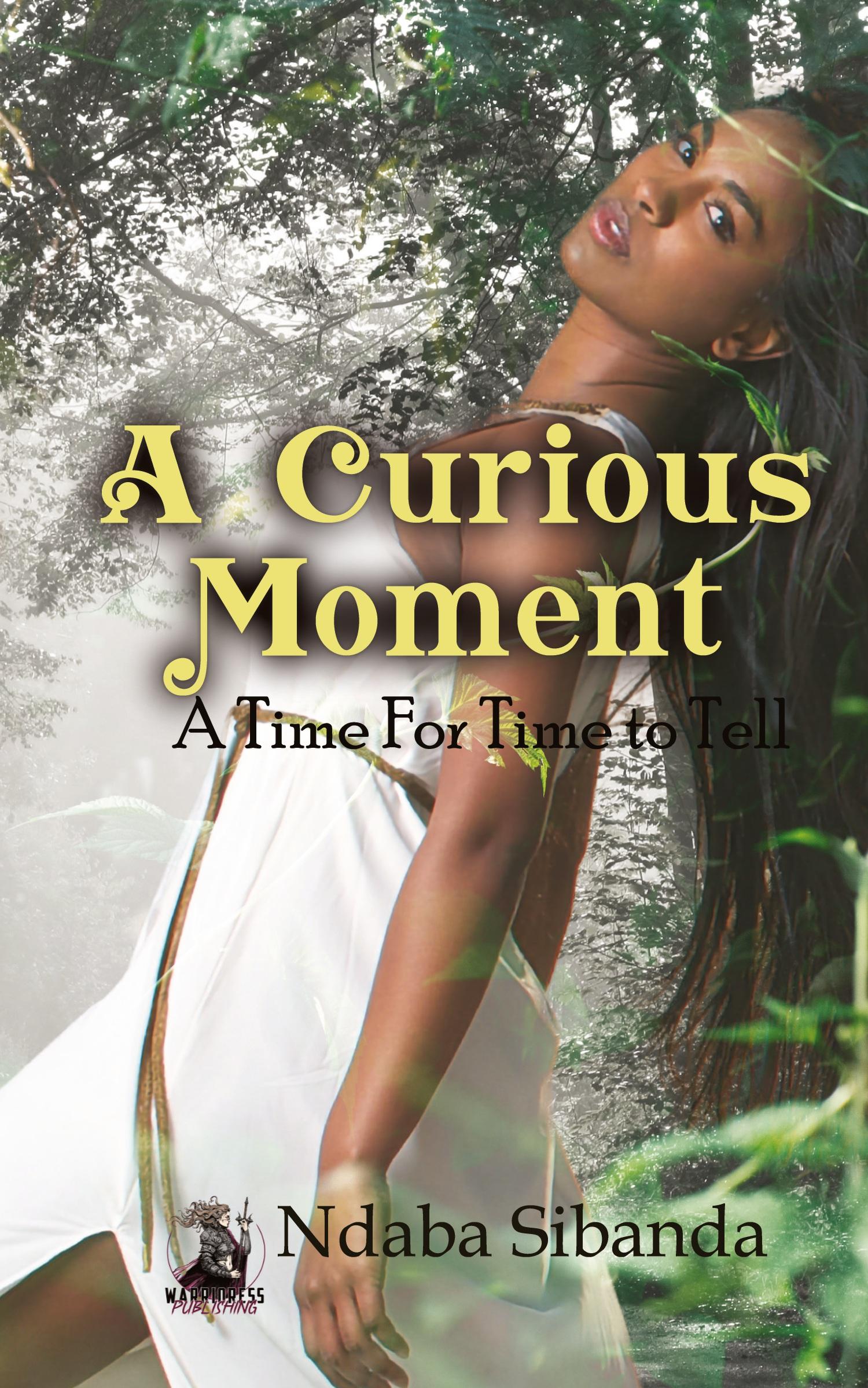 Vorderes Coverbild A Curious Moment