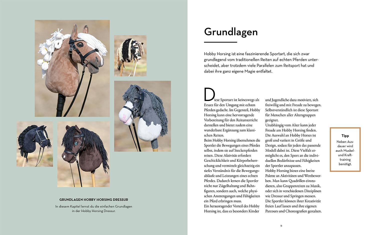 Beispielinhalt (Bild) Hobby Horsing Dressurtraining