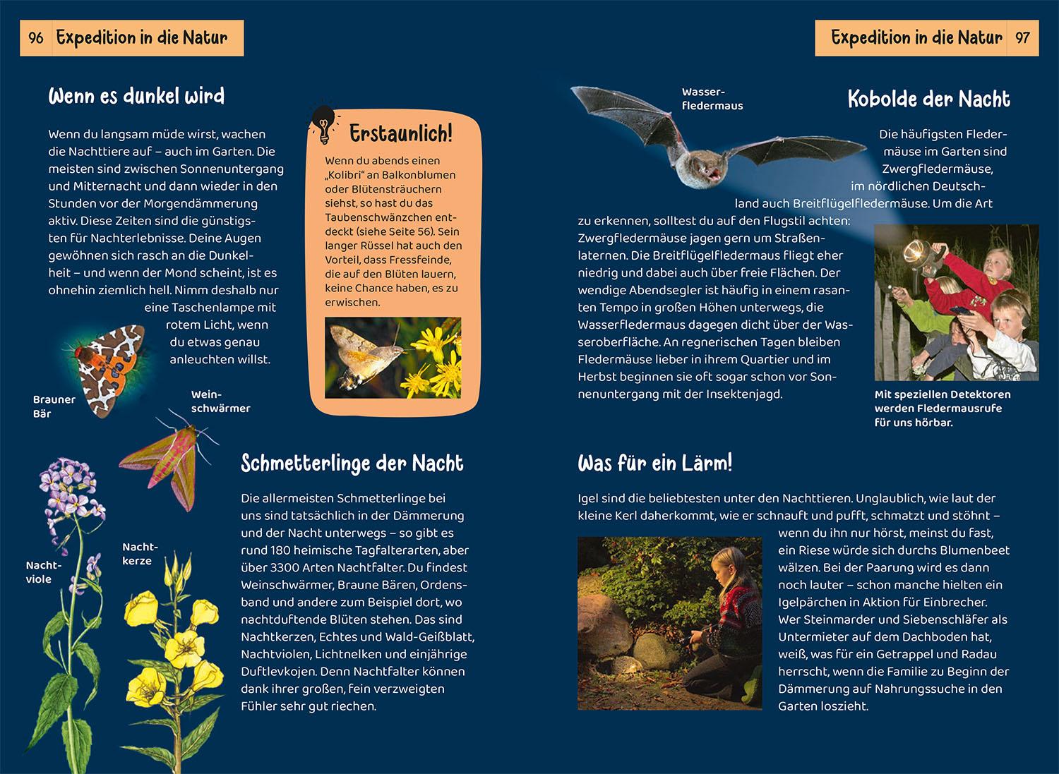 Beispielinhalt (Bild) Was lebt im Garten? Kindernaturführer