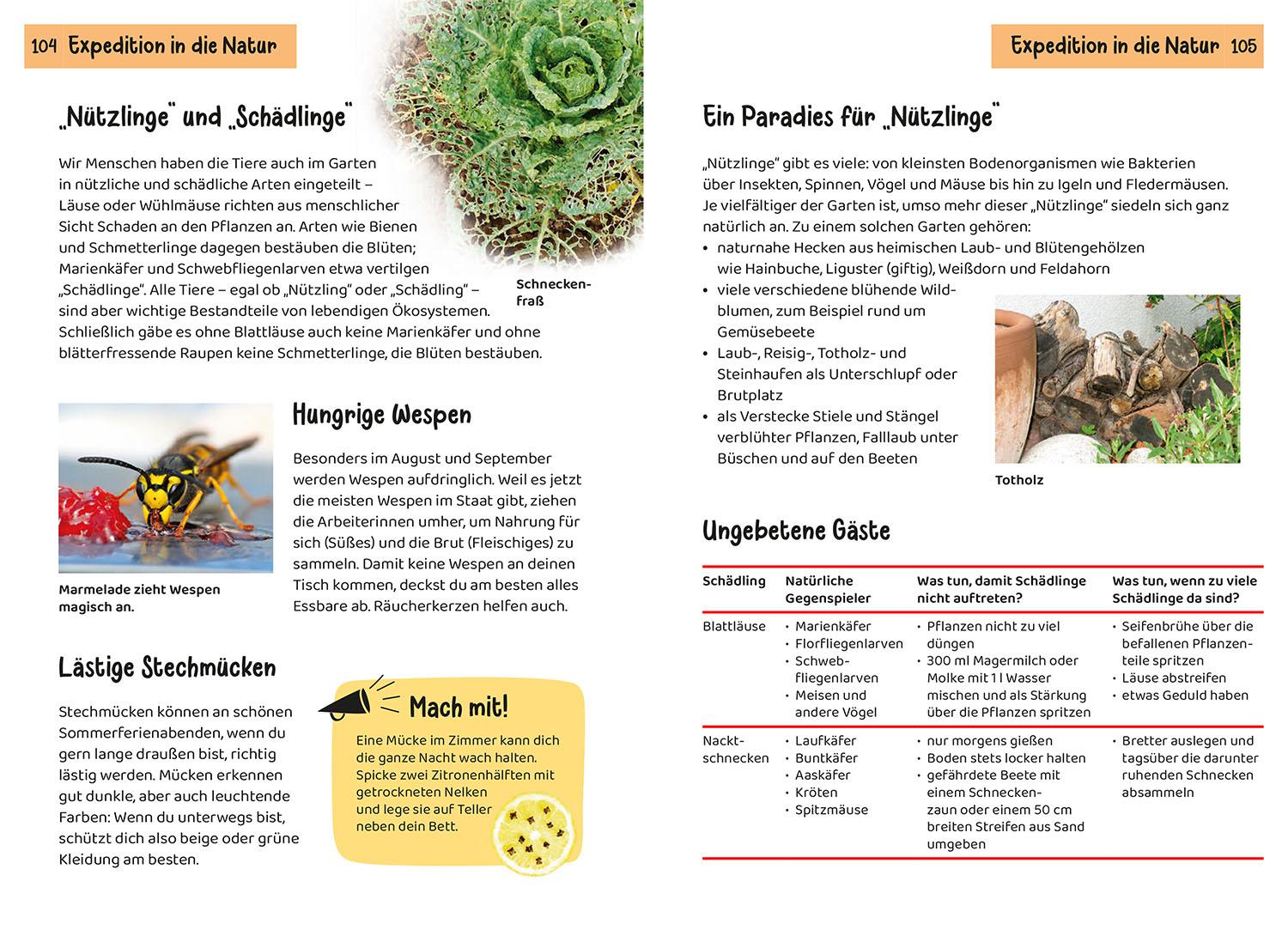 Beispielinhalt (Bild) Was lebt im Garten? Kindernaturführer