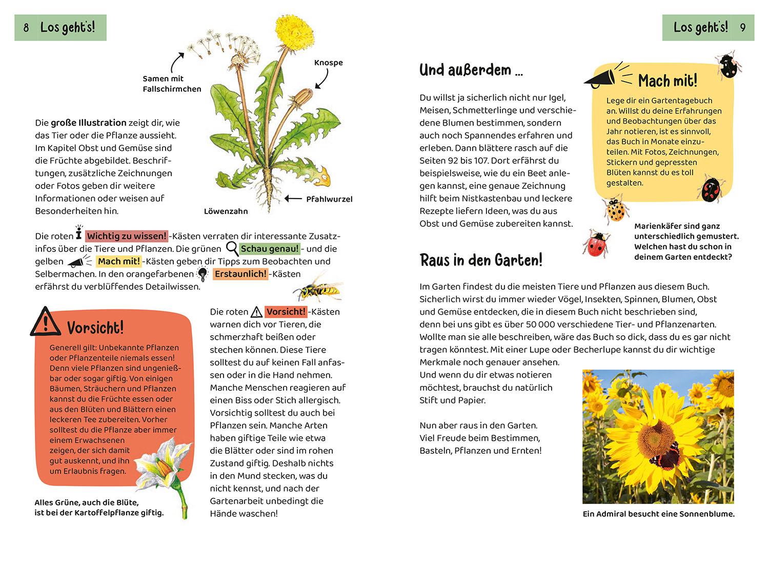 Beispielinhalt (Bild) Was lebt im Garten? Kindernaturführer