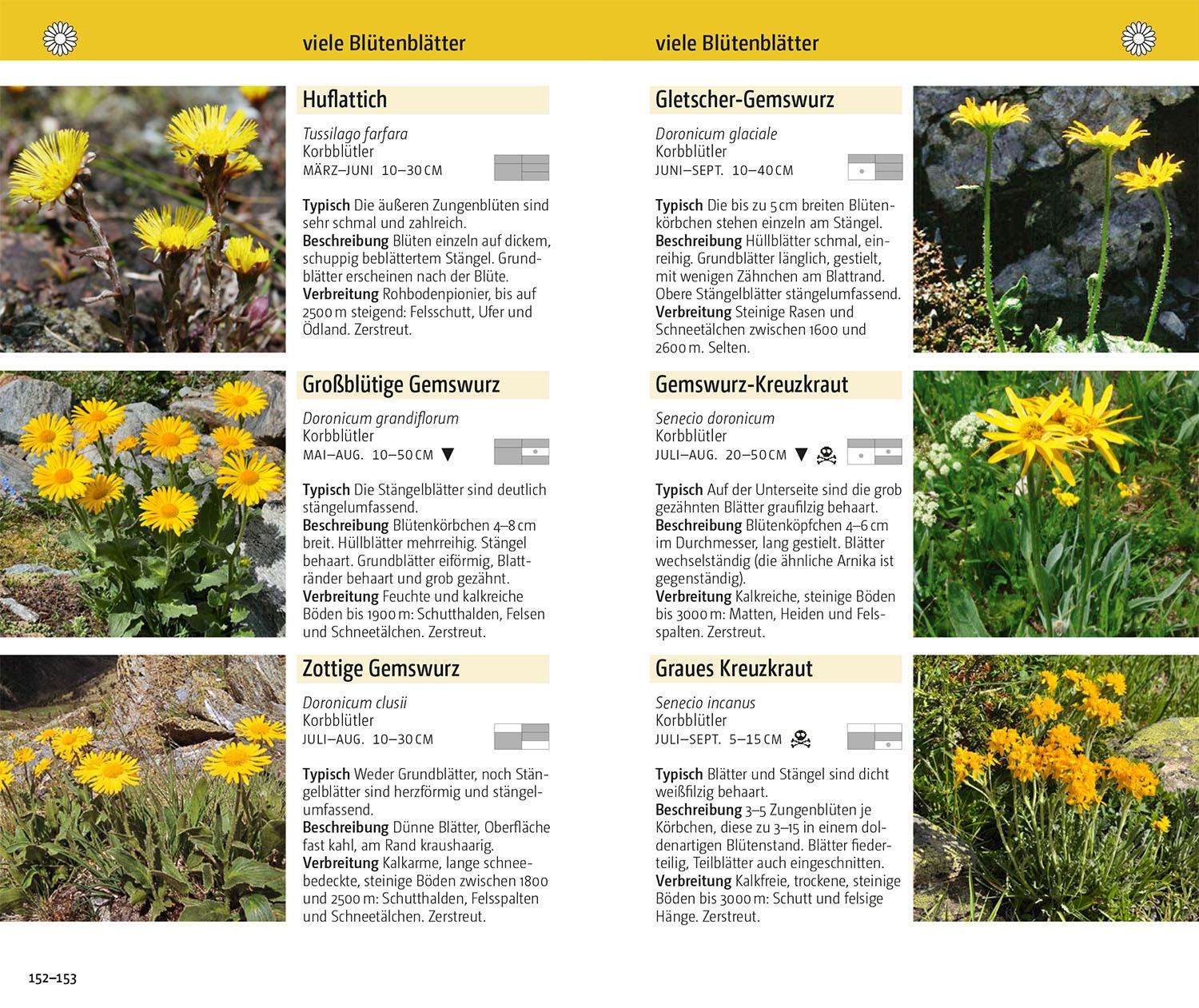 Beispielinhalt (Bild) Blumen der Alpen