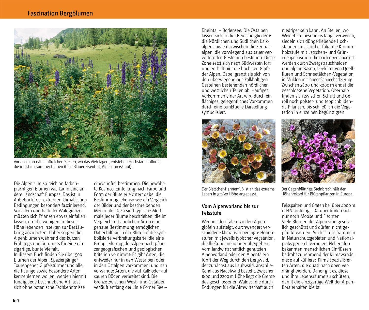 Beispielinhalt (Bild) Blumen der Alpen