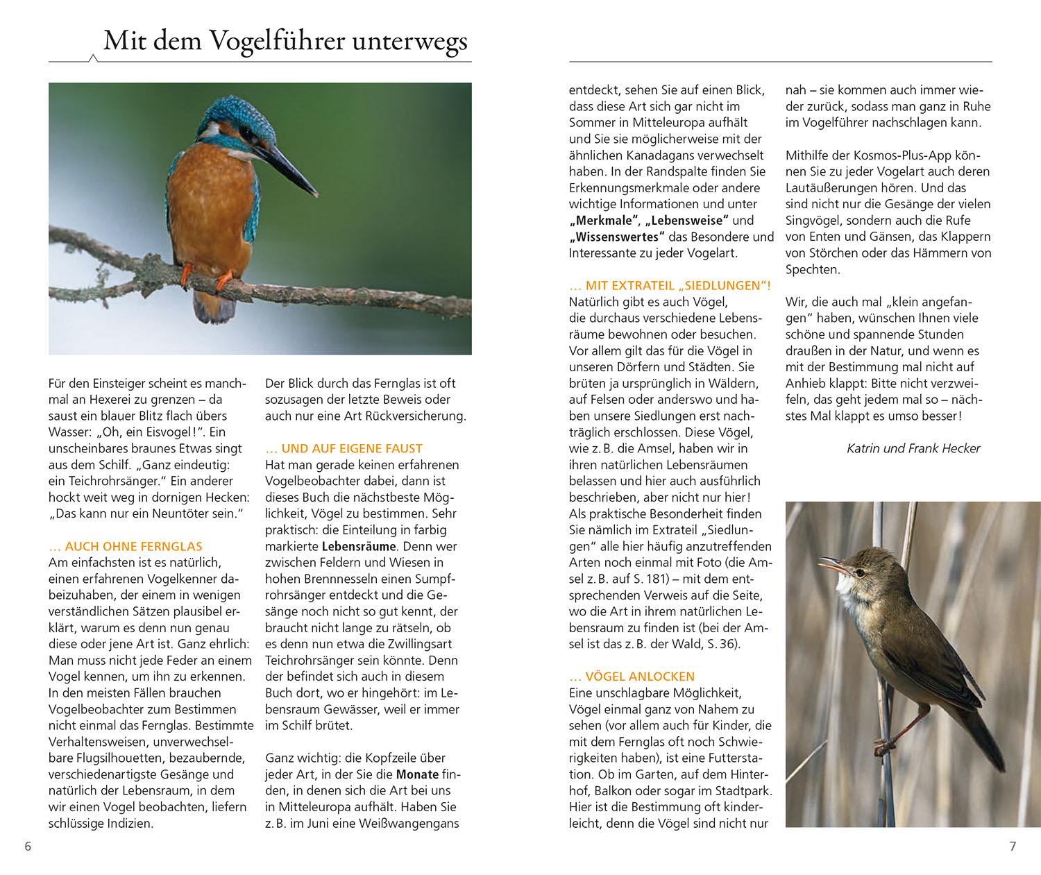 Beispielinhalt (Bild) Kosmos Vogelführer für unterwegs
