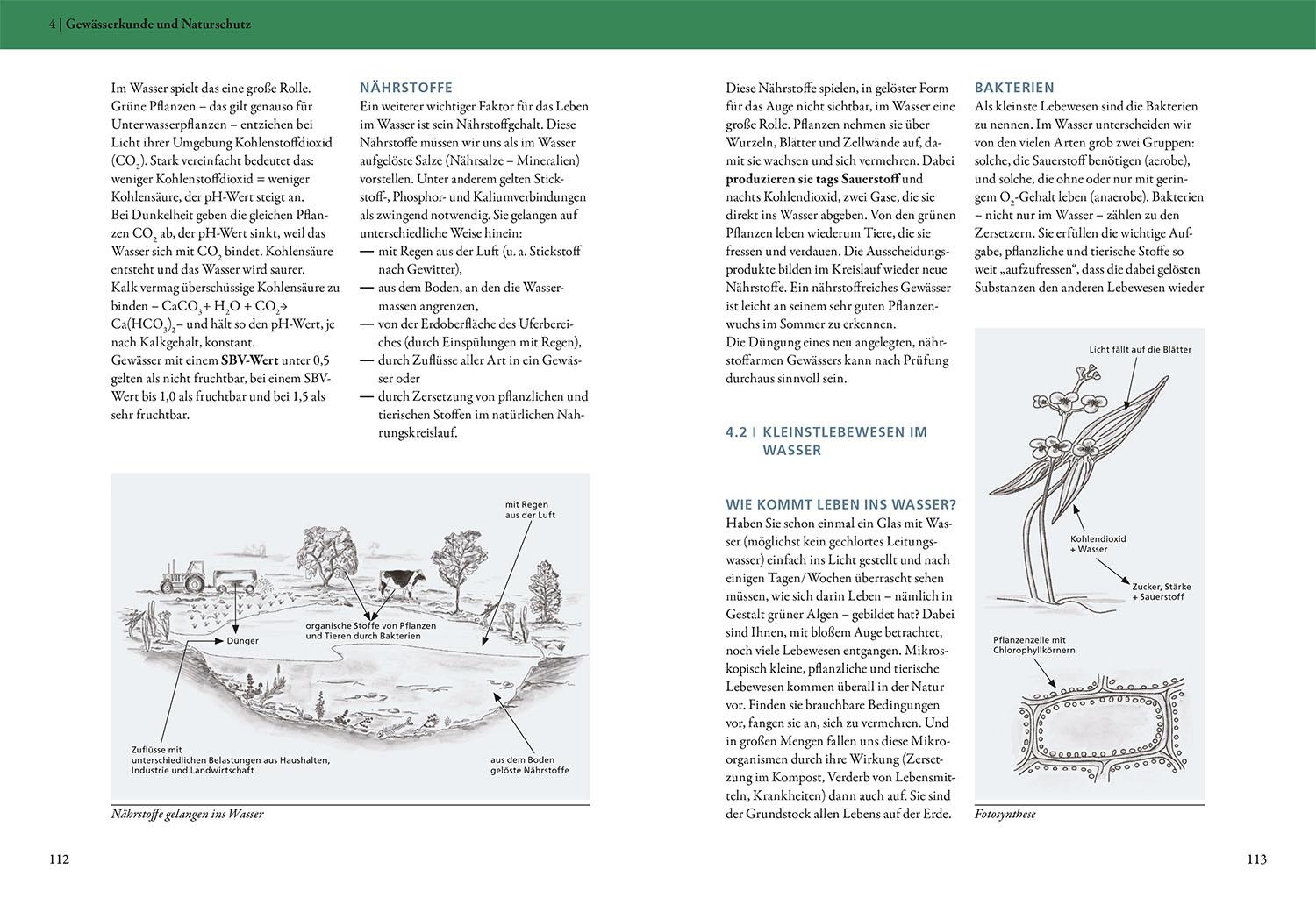 Beispielinhalt (Bild) Die Fischerprüfung