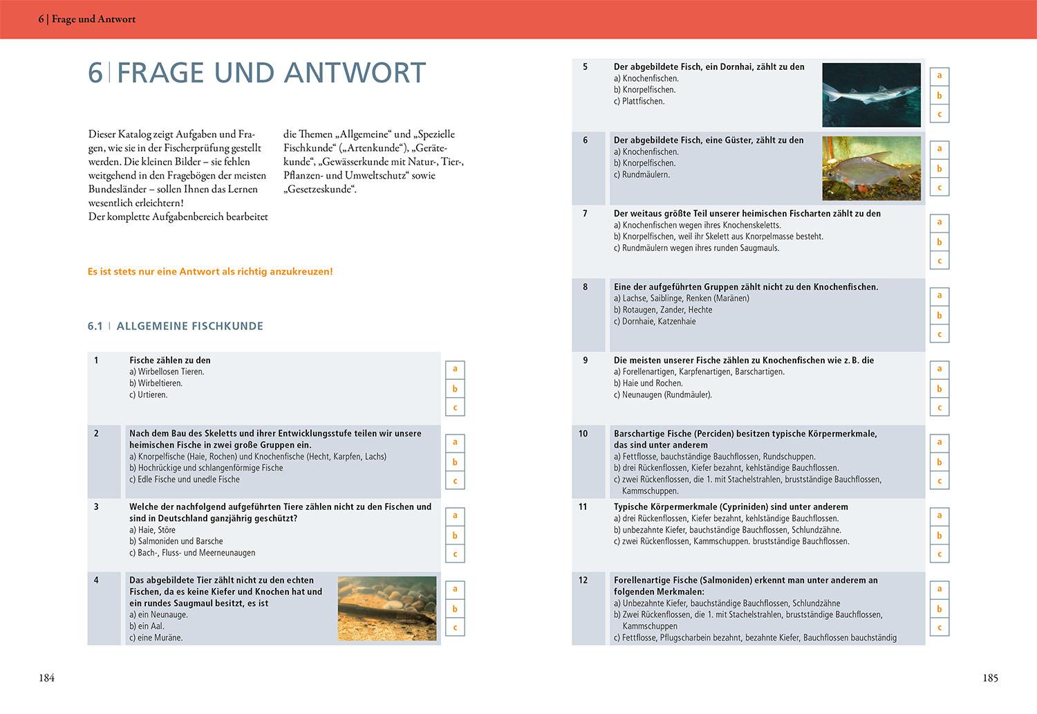 Beispielinhalt (Bild) Die Fischerprüfung