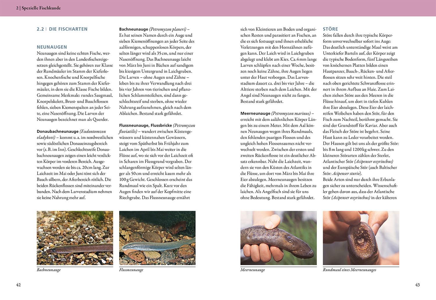 Beispielinhalt (Bild) Die Fischerprüfung