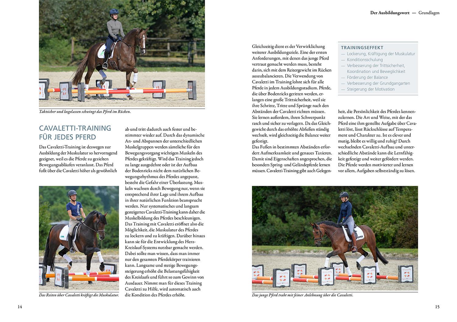 Beispielinhalt (Bild) Cavaletti