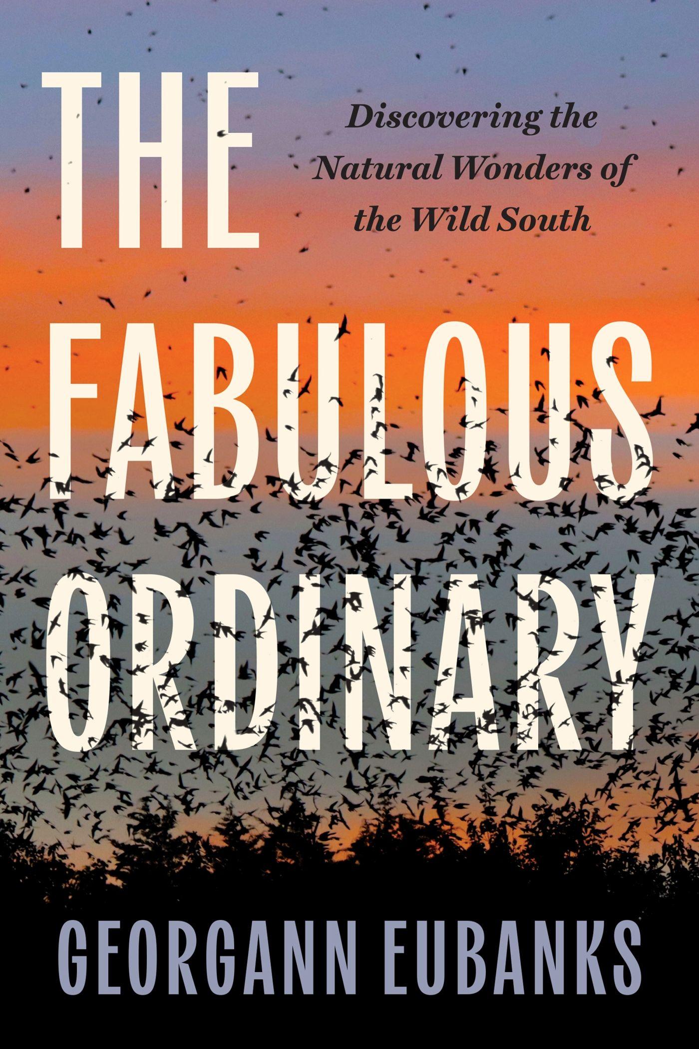 Vorderes Coverbild The Fabulous Ordinary