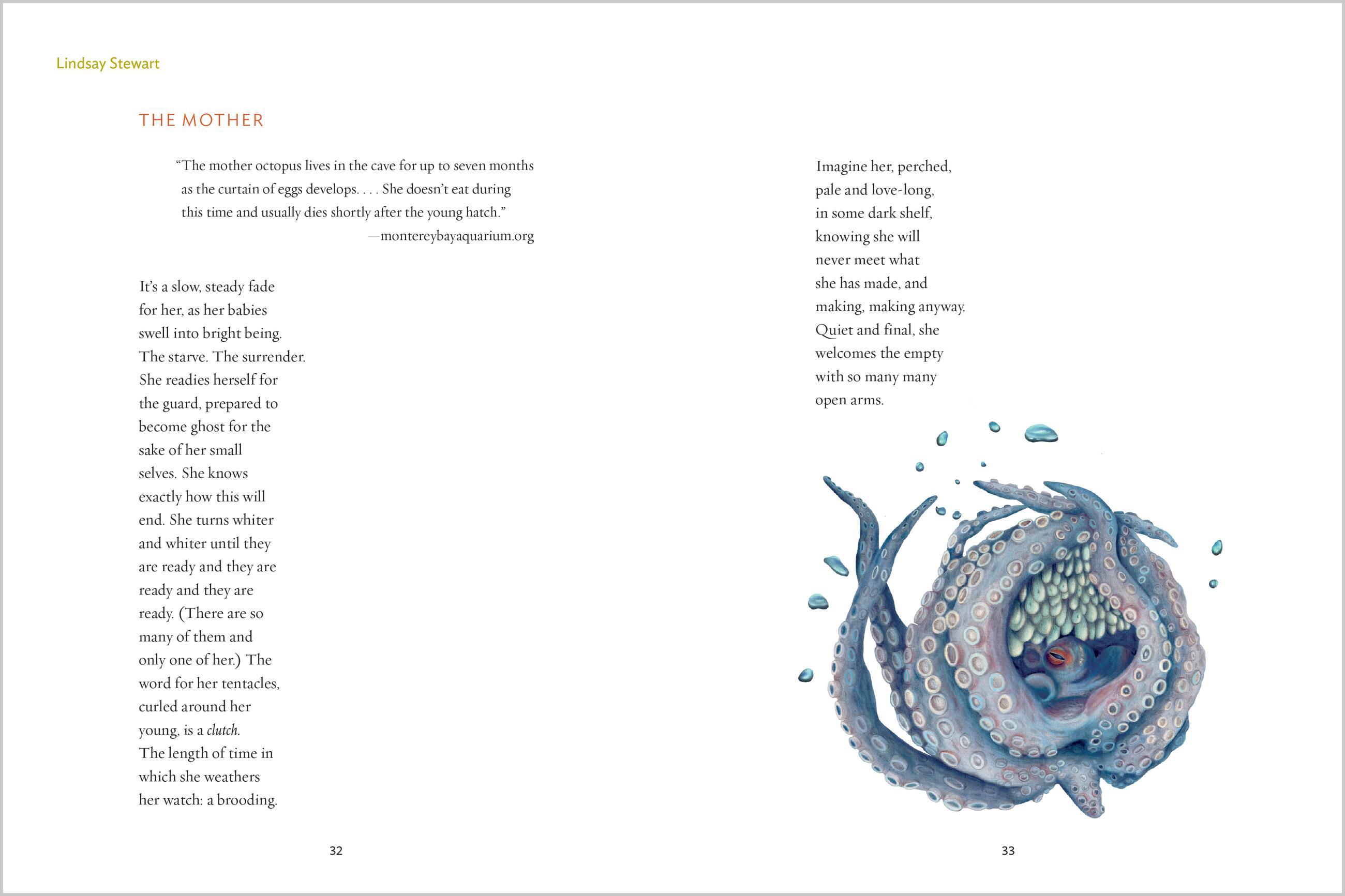 Beispielinhalt (Bild) The Gift of Animals